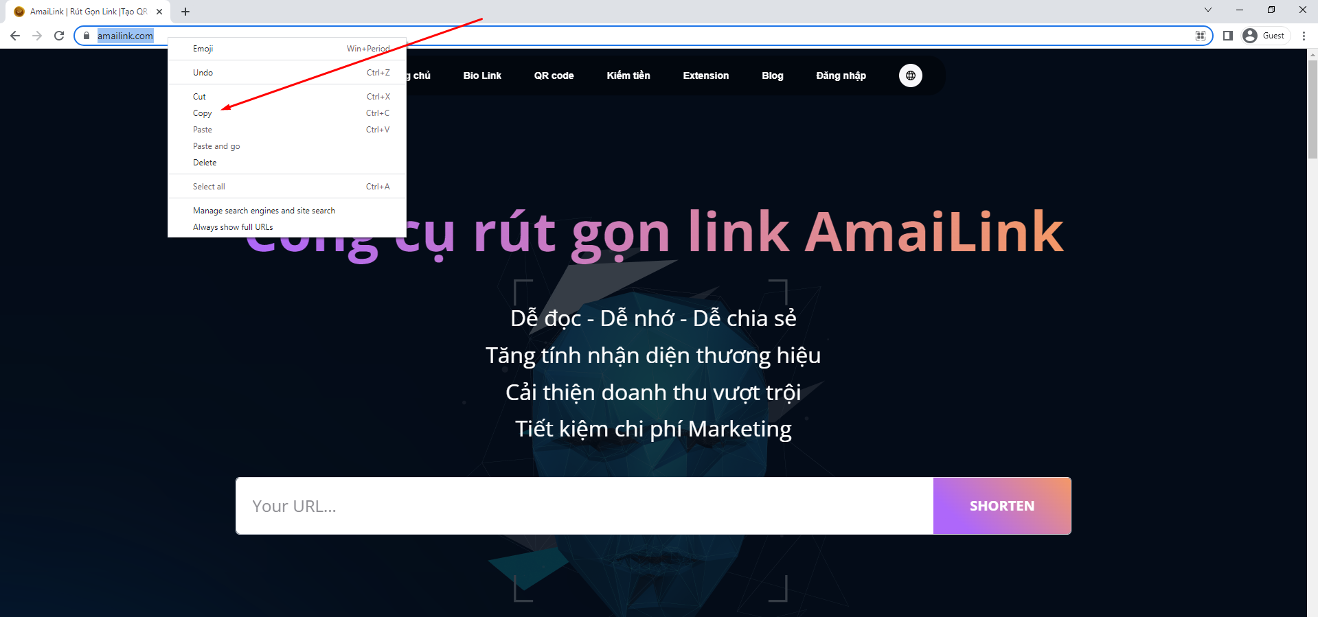 Cách lấy link trang Web